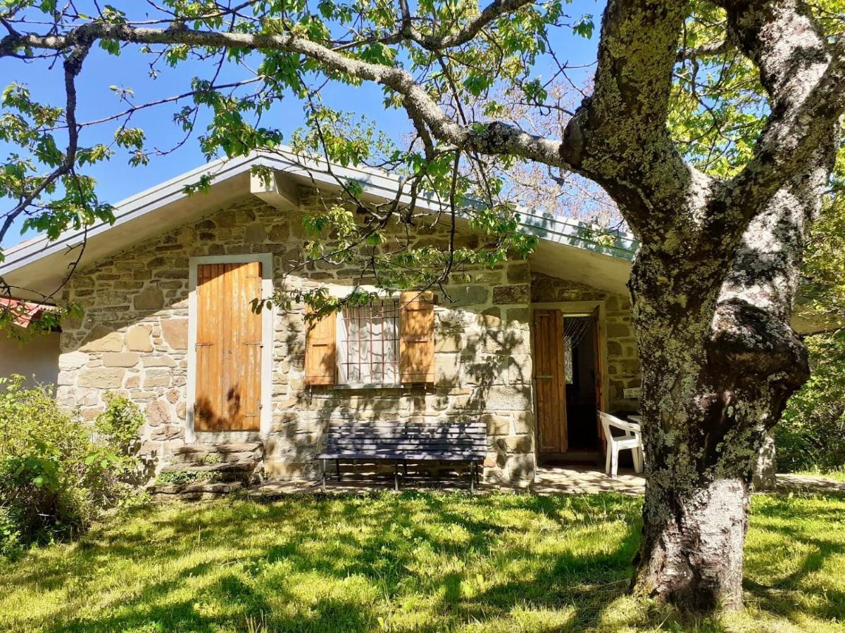 Borgo Castelluccio Country House Porretta Terme Ngoại thất bức ảnh
